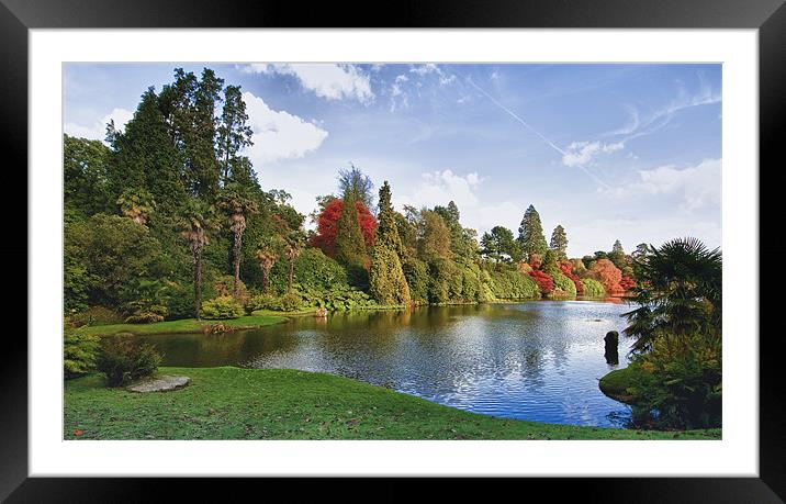 A walk in the park Framed Mounted Print by Paul Ready