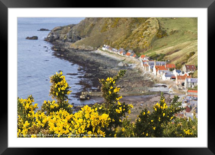 Yellow Over Crovie Framed Mounted Print by Bill Buchan