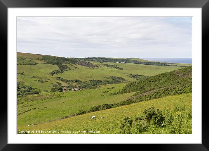 The Fields and Meadows of Buchan Framed Mounted Print by Bill Buchan