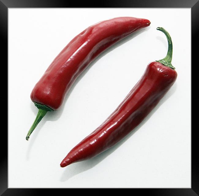 chilli peppers Framed Print by david harding