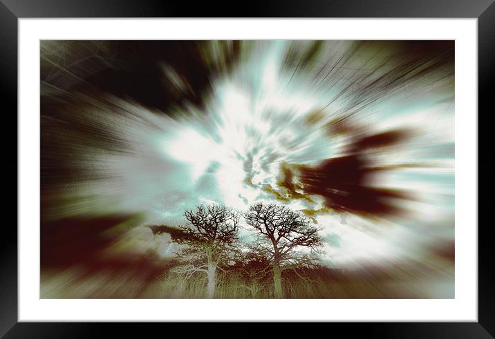 trees Framed Mounted Print by david harding