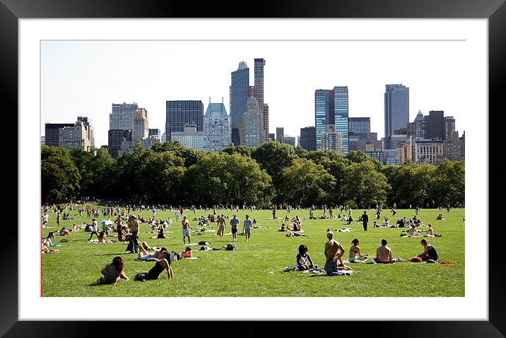 Central Park Framed Mounted Print by david harding