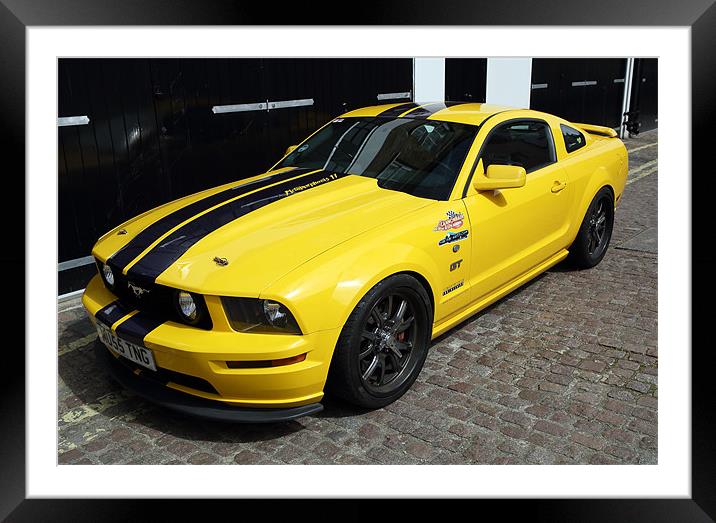 Ford Mustang Framed Mounted Print by david harding