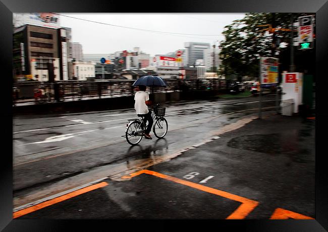 cyclist in rain Framed Print by david harding