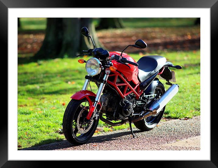 Ducati Framed Mounted Print by david harding