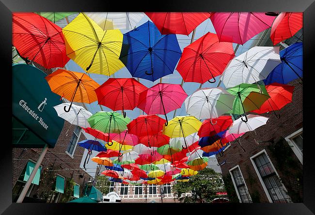  Colourful Umbrellas Framed Print by david harding
