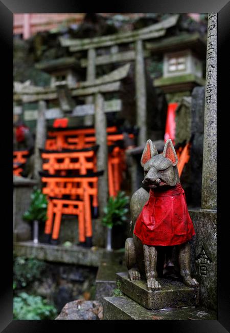 Japan Kyoto Fushima-Inari Shrine Framed Print by david harding