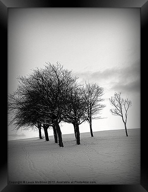 Snowy Trees Framed Print by Laura McGlinn Photog