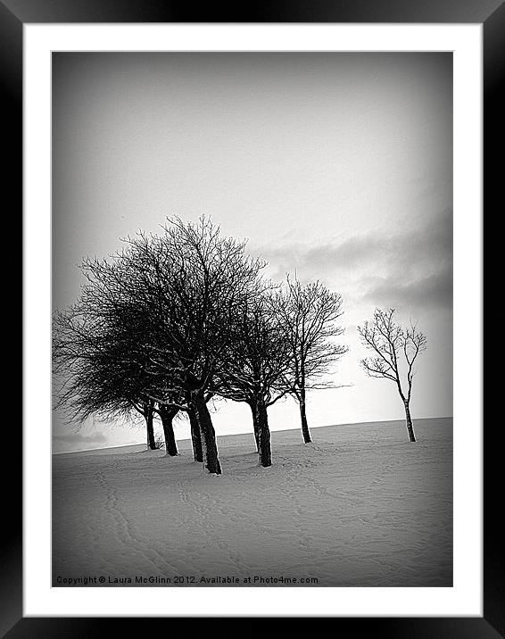 Snowy Trees Framed Mounted Print by Laura McGlinn Photog