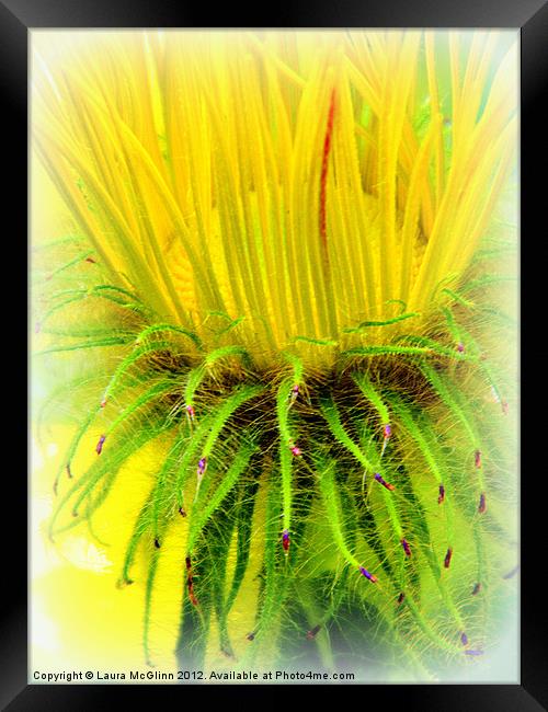 Pineapple Framed Print by Laura McGlinn Photog