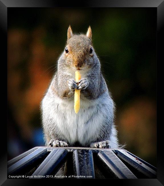 Chipping In Framed Print by Laura McGlinn Photog