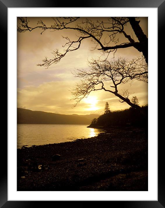 Golden Bay Framed Mounted Print by Laura McGlinn Photog