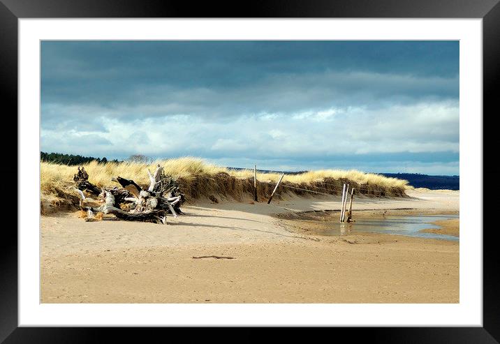  Tentsmuir Dunes Framed Mounted Print by Laura McGlinn Photog