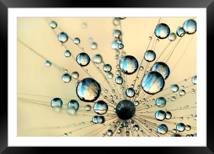 A Burst of Fairy Drops Framed Mounted Print by Sharon Johnstone