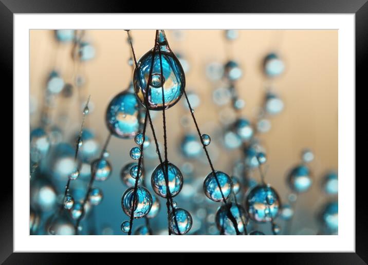Crazy Grass Seed Drops II Framed Mounted Print by Sharon Johnstone