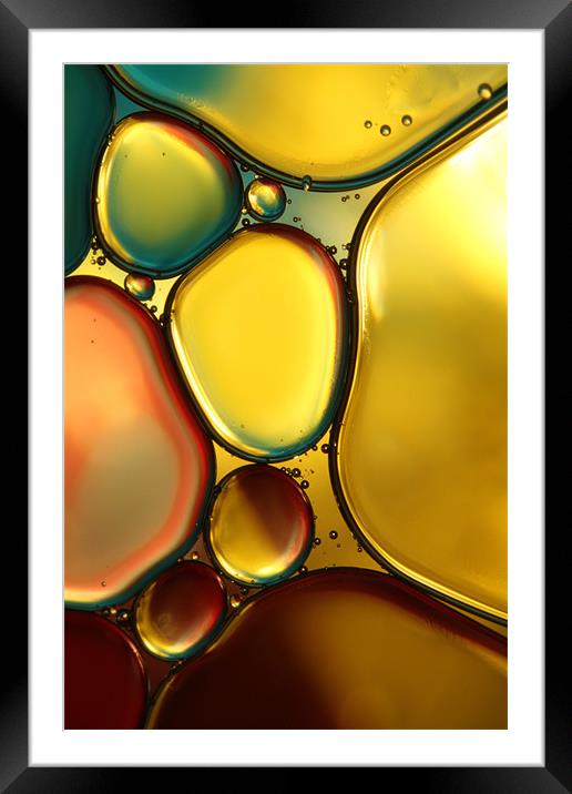 Oil & Water Abstract II Framed Mounted Print by Sharon Johnstone