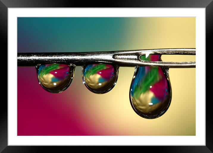 Drop Framed Mounted Print by Sharon Johnstone