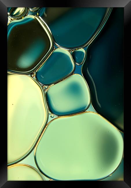 Bubble Blue Framed Print by Sharon Johnstone