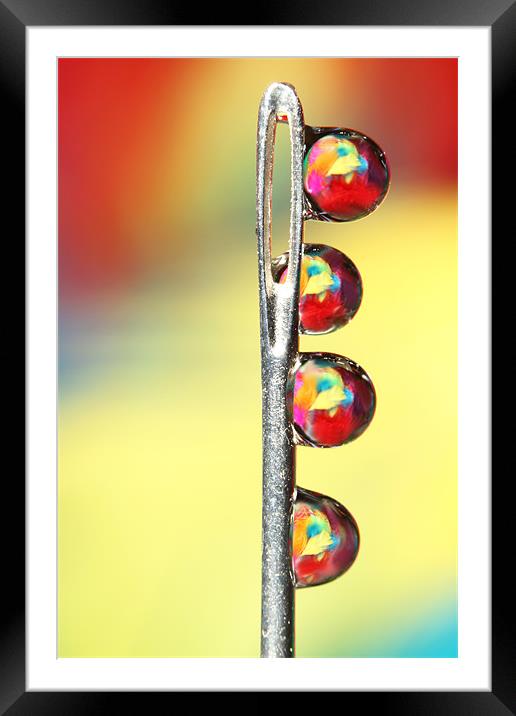 Needle with Feather Droplets Framed Mounted Print by Sharon Johnstone