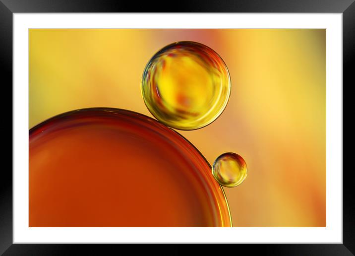 Abstract Oil Drops Framed Mounted Print by Sharon Johnstone