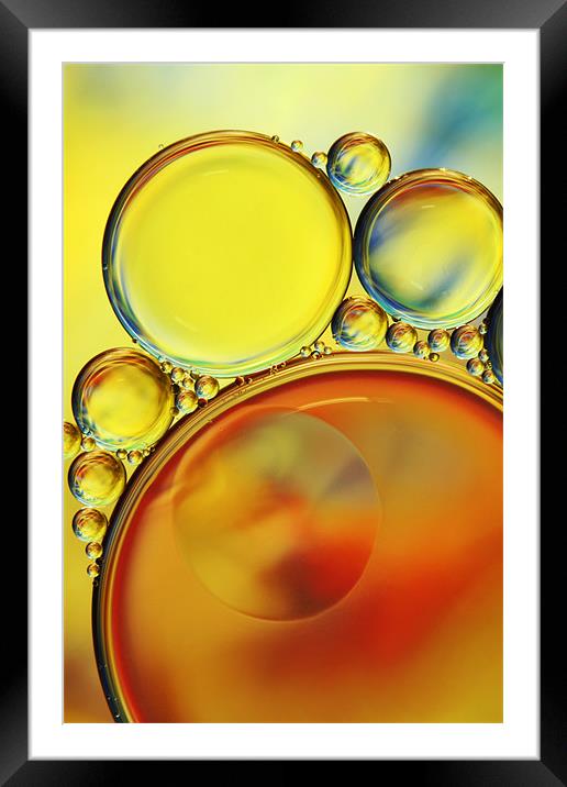Abstract Oil Drops IV Framed Mounted Print by Sharon Johnstone