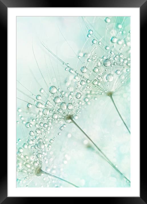 Baby Blue Sparkles Framed Mounted Print by Sharon Johnstone
