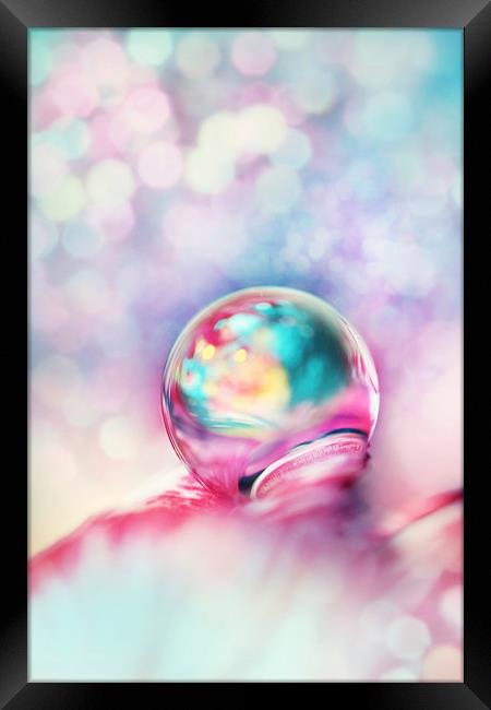 A Drop of Fun Framed Print by Sharon Johnstone