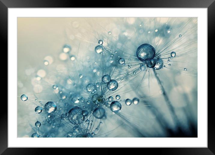 Creamy Blue Dandy Drops Framed Mounted Print by Sharon Johnstone
