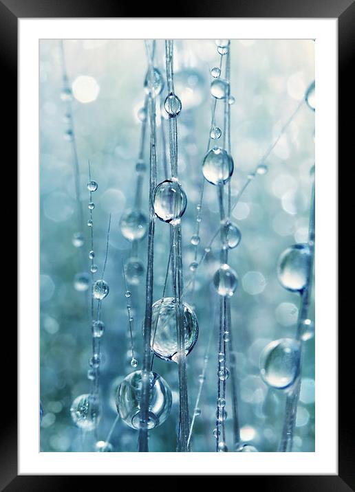  Blue Grass Drops II Framed Mounted Print by Sharon Johnstone