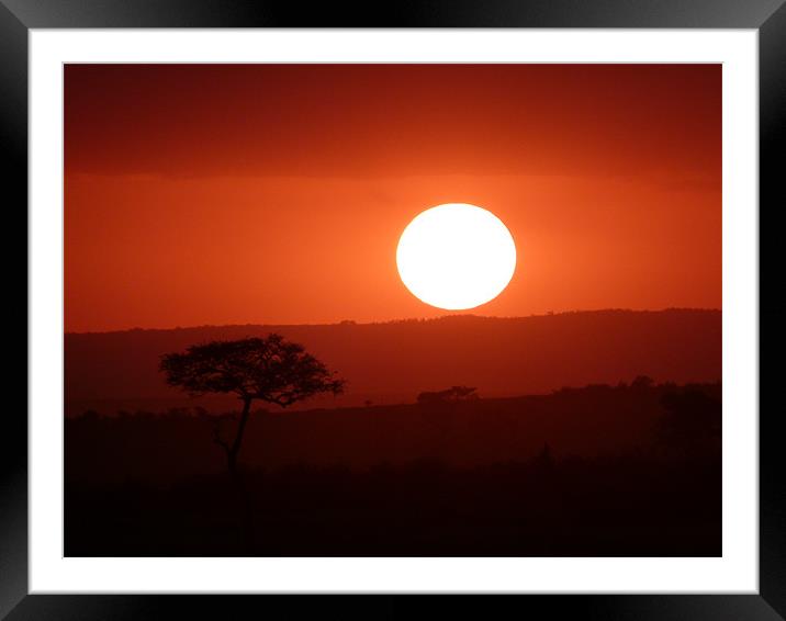 Masai Mara Sunset kenya Framed Mounted Print by grant norton
