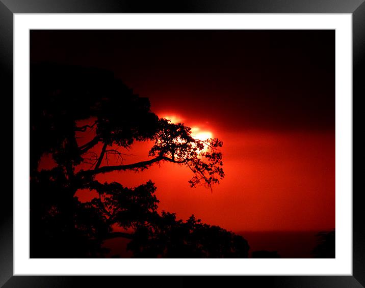 Masai Mara Sunset kenya Framed Mounted Print by grant norton