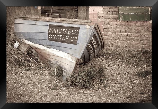Whitstable Oyster Boat Framed Print by Robert Coffey