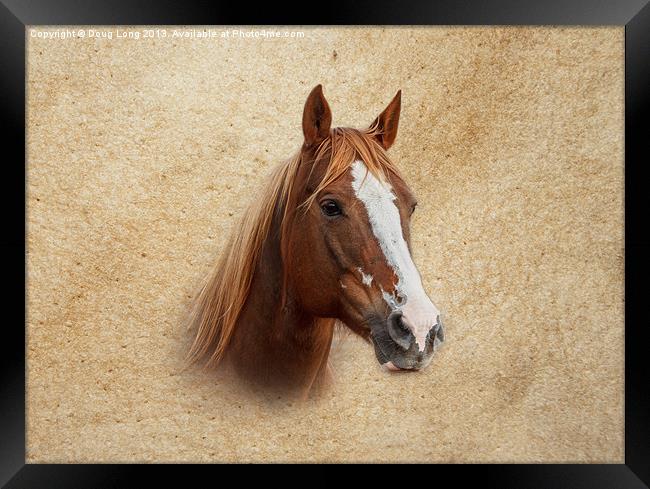 Portrait of a Mare Framed Print by Doug Long