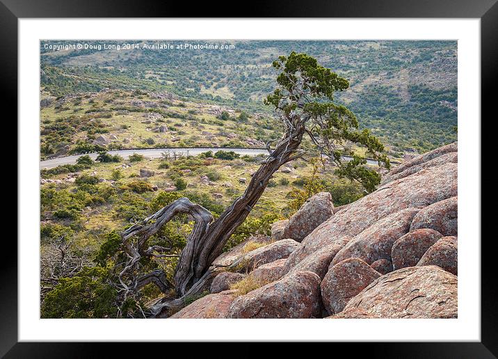 Mt. Scott Framed Mounted Print by Doug Long