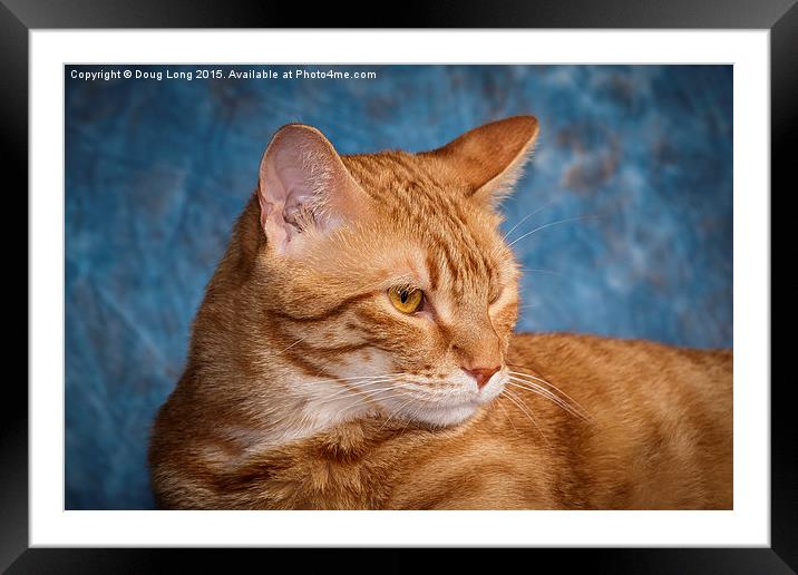 Red Cat Framed Mounted Print by Doug Long