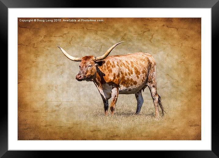 Texas Longhorn Framed Mounted Print by Doug Long