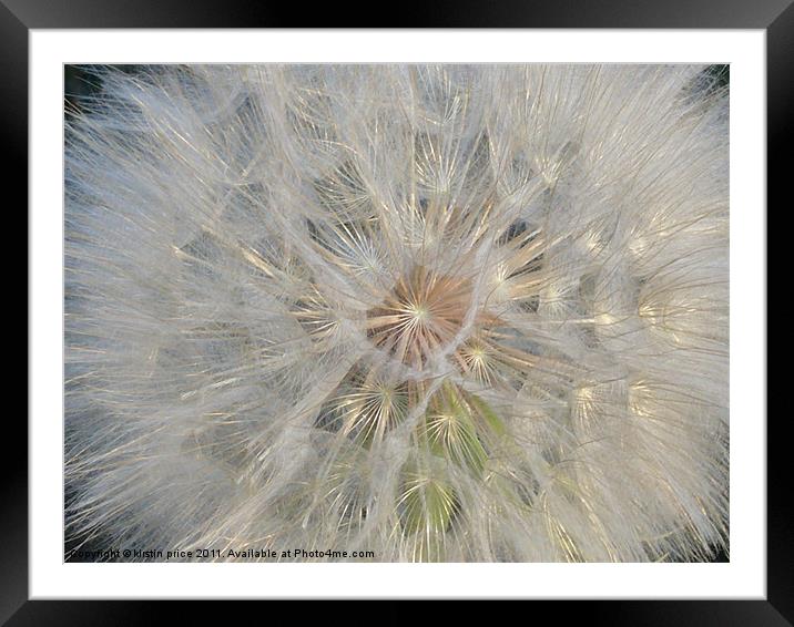 floral fireworks Framed Mounted Print by kirstin price