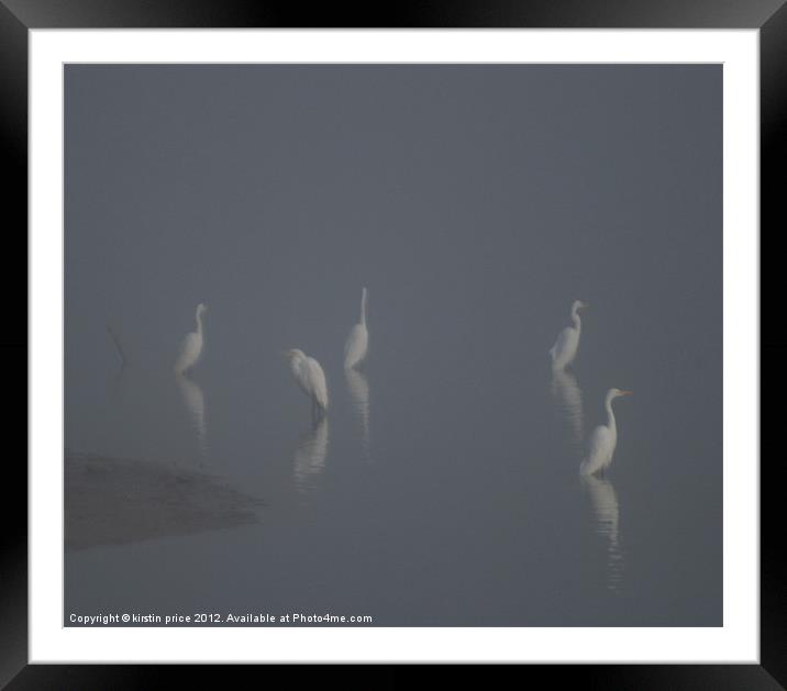 ghostly herons Framed Mounted Print by kirstin price