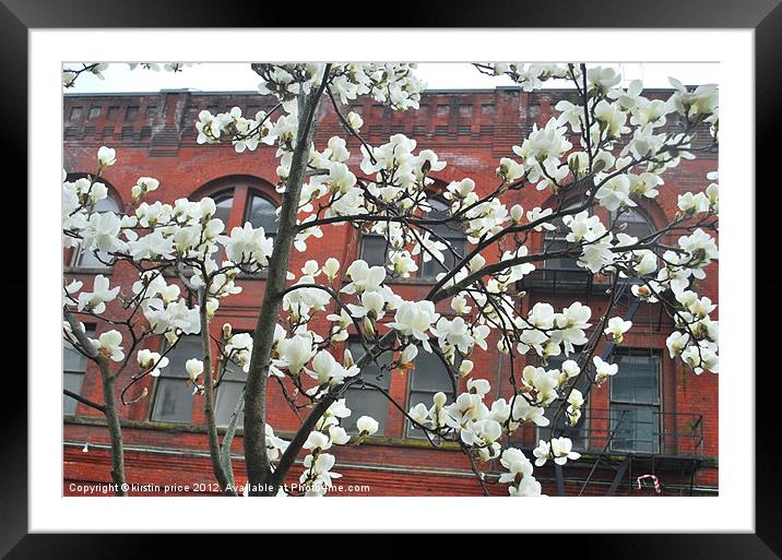 spring in the city Framed Mounted Print by kirstin price