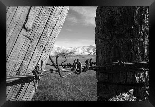 Wyoming Fence Framed Print by Ben Murray