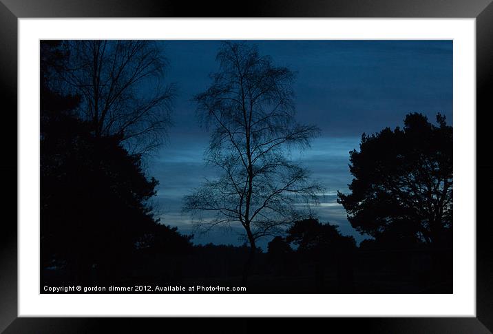New forest evening blue sky Framed Mounted Print by Gordon Dimmer