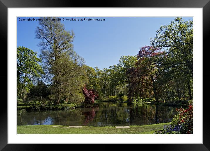 Reflections of tranquility Exbury Gardens Framed Mounted Print by Gordon Dimmer