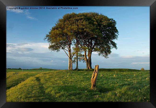 A Striking Tree on Roundway Hill Framed Print by Gordon Dimmer