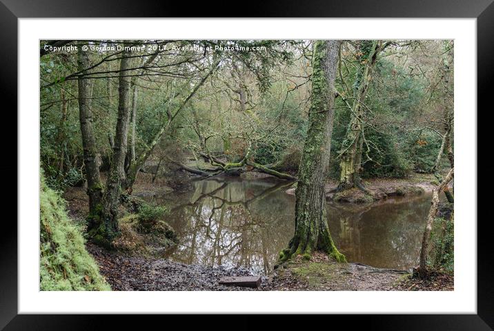 A Tangle of Trees over a small river at Kings Hat  Framed Mounted Print by Gordon Dimmer
