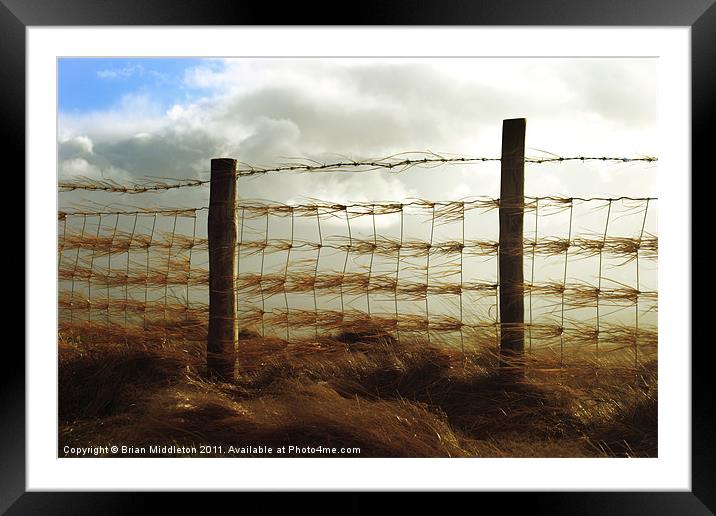 Windy day Framed Mounted Print by Brian Middleton