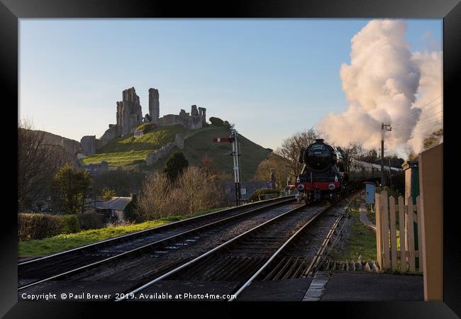 Flying Scotsman passes Corfe Castle Framed Print by Paul Brewer