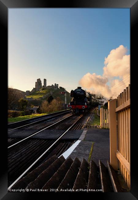 Flying Scotsman passes Corfe Castle Framed Print by Paul Brewer