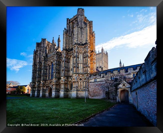 Wells Cathedral early in Spring  Framed Print by Paul Brewer