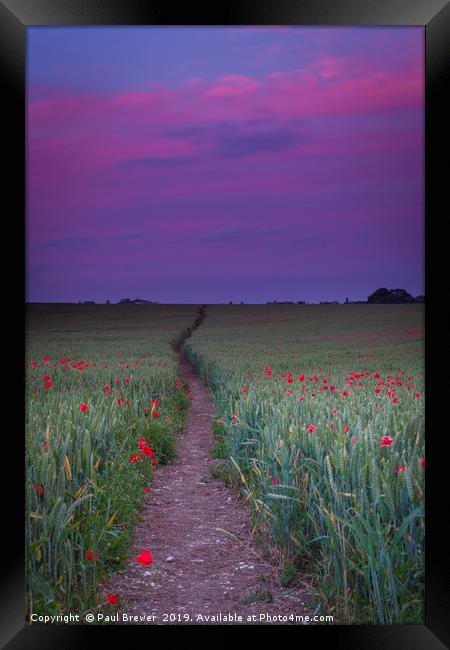 Purple sky and field of Poppies near Dorchester Framed Print by Paul Brewer
