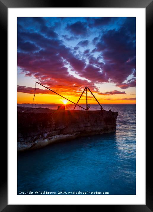 Red Crane Winter at Sunrise Framed Mounted Print by Paul Brewer